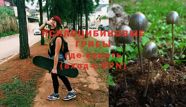 винт Заволжье