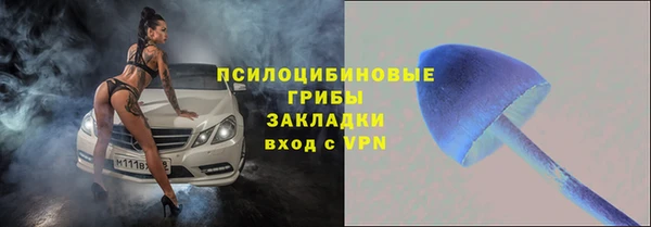 альфа пвп Заводоуковск