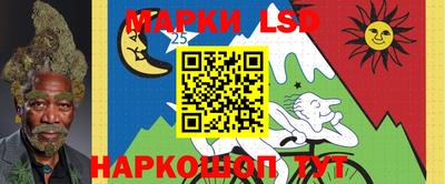 гидра Камышлов