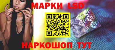 гидра Камышлов
