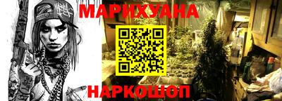 гидра Камышлов