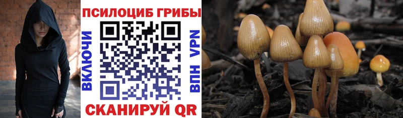 Галлюциногенные грибы GOLDEN TEACHER  Саянск 