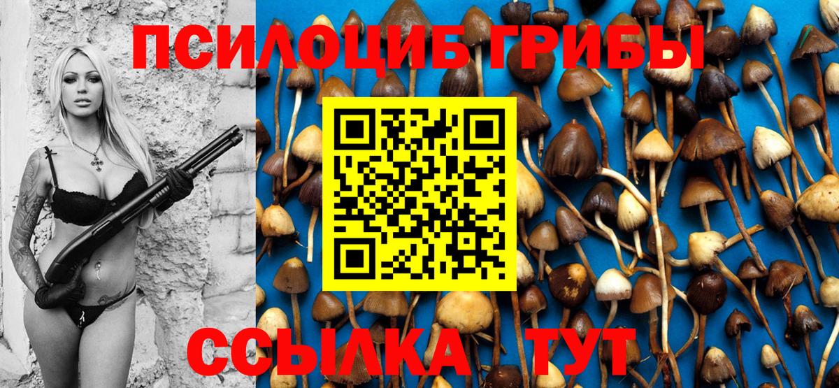 Псилоцибиновые грибы MAGIC MUSHROOMS  Вход с VPN  Саянск 